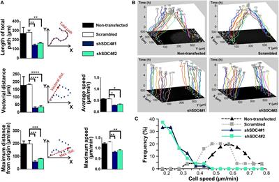 Syndecan-4 Modulates Cell Polarity and Migration by Influencing Centrosome Positioning and Intracellular Calcium Distribution